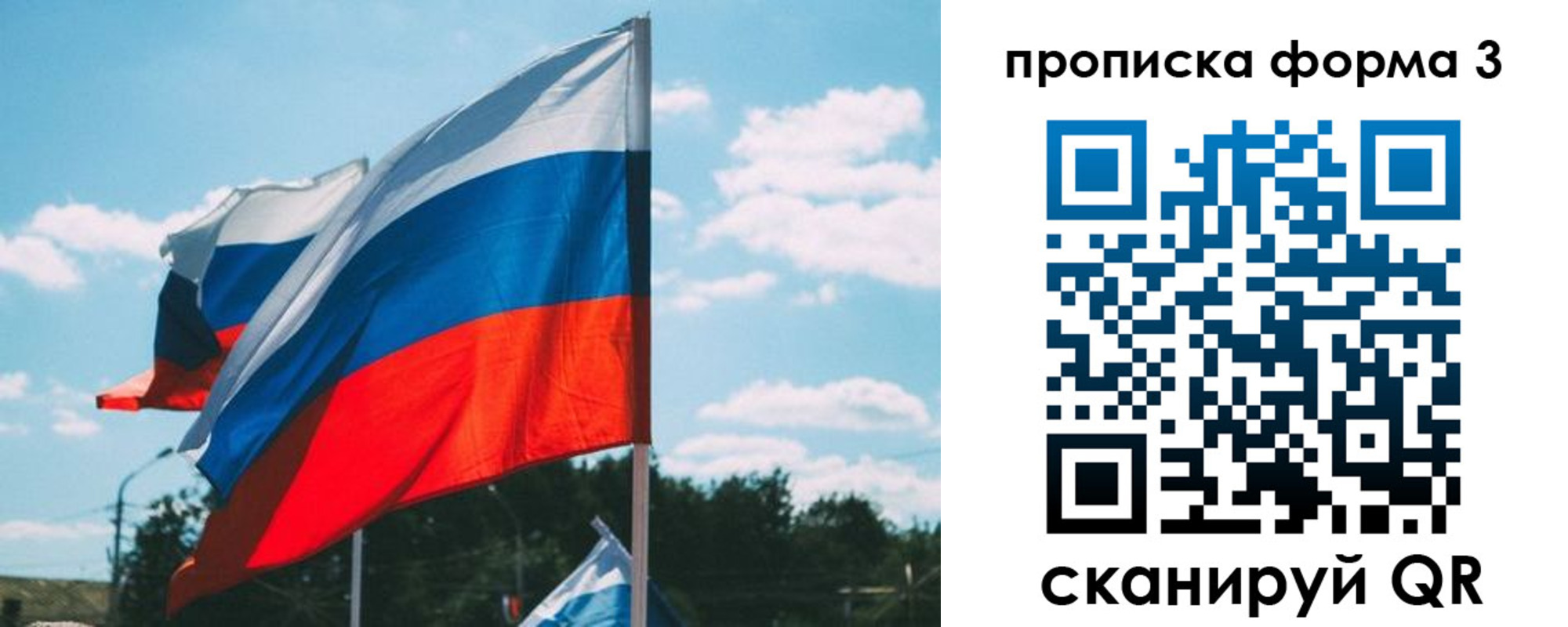 прописка в Светлогорске
